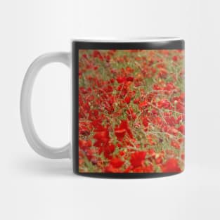 Field of poppys  near baslow in derbyshire  . Mug